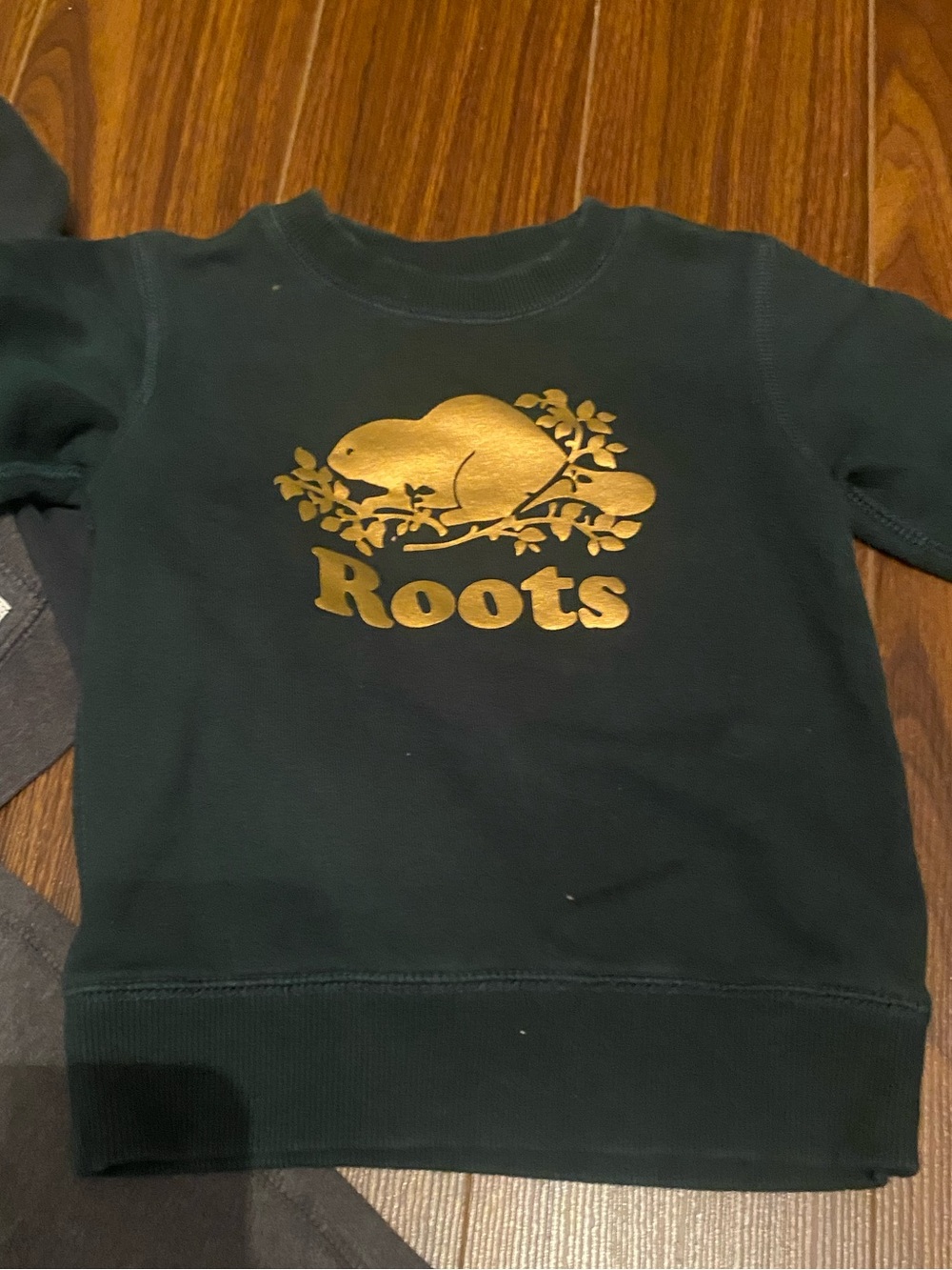 Roots Kids Forest Green Sweatshirt with Gold Logo